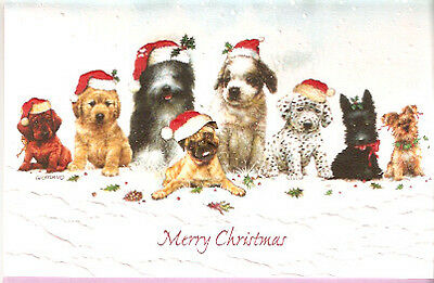 Pug Dalmatian Scottish Terrier Dachshund  Embossed Christmas Cards Box Of 16^