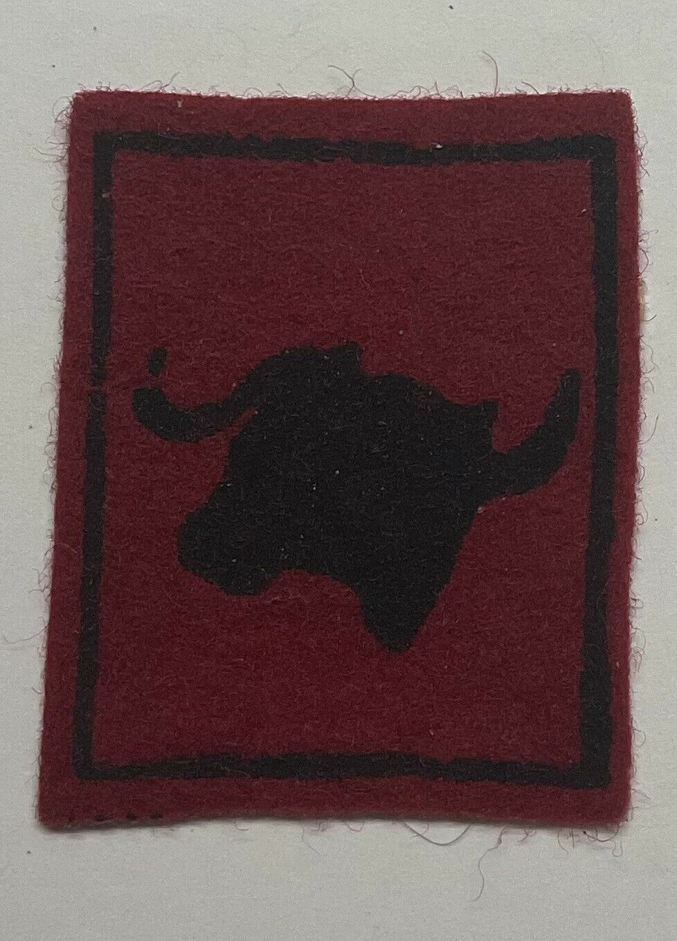 Boy Scout Water Buffalo Square Felt Patrol Patch (14-65)