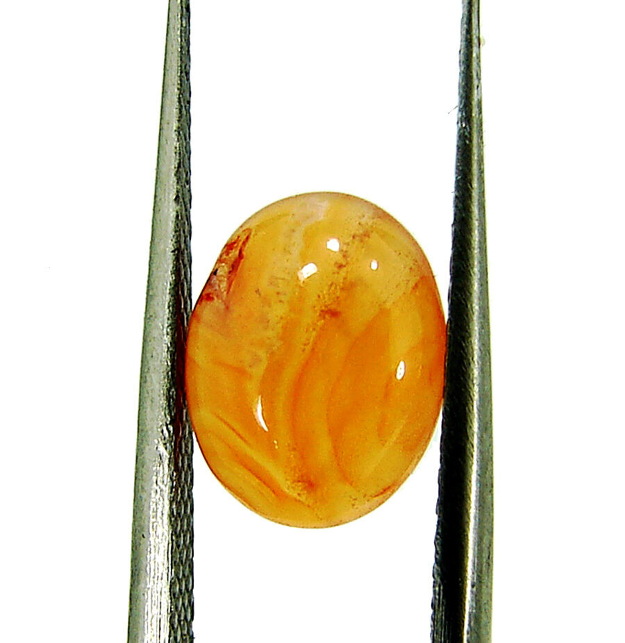 1.60 Ct Natural Orange Carnelian Loose Gemstone Oval Cabochon Stone - 5993
